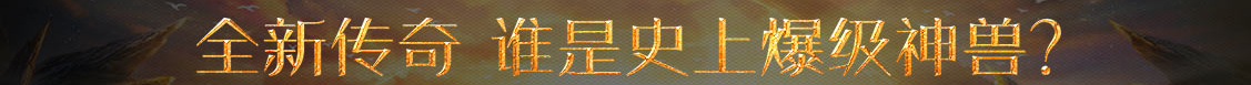 股票基金汇